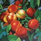 Hand painted oil painting on canvas"bumper harvest fruits"60x90CM(23.6"x35.4")Unframed-61