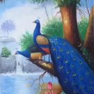 Simple modern Hand painted oil painting on canvas"Gorgeous peacock"60x120CM(23.6"x47.2")Unframed-21 Simple modern Hand painted oil painting on canvas"Gorgeous peacock"60x120CM(23.6"x47.2")Unframed-21