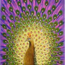 Simple modern Hand painted oil painting on canvas"Gorgeous peacock"60x120CM(23.6"x47.2")Unframed-26
