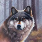 Simple modern Hand painted oil painting on canvas"Wolf"50x60CM(19.7"x23.6")Unframed-01
