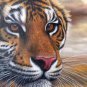 Simple modern Hand painted oil painting on canvas"tiger"60x90CM(23.6"x35.4")Unframed-01