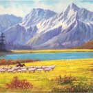 American style Hand painted oil painting on canvas"Sheep"70x180CM(27.6"x70.9")Unframed-07