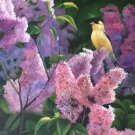 Simple modern Hand painted oil painting on canvas"Cute bird"58x112CM(22.8"x44.1'')Unframed-18 Simple modern Hand painted oil painting on canvas"Cute bird"58x112CM(22.8"x44.1'')Unframed-18
