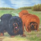Simple modern Hand-painted oil painting on canvas"Tibetan mastiff"60x90CM(23.6"x35.4")Unframe-04 Simple modern Hand-painted oil painting on canvas"Tibetan mastiff"60x90CM(23.6"x35.4")Unframe-04