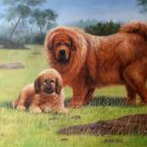 Simple modern Hand-painted oil painting on canvas"Tibetan mastiff"60x90CM(23.6"x35.4")Unframe-05 Simple modern Hand-painted oil painting on canvas"Tibetan mastiff"60x90CM(23.6"x35.4")Unframe-05