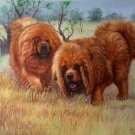 Simple modern Hand-painted oil painting on canvas"Tibetan mastiff"60x90CM(23.6"x35.4")Unframe-06 Simple modern Hand-painted oil painting on canvas"Tibetan mastiff"60x90CM(23.6"x35.4")Unframe-06