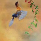 Simple modern Hand painted oil painting on canvas"Cute bird"50x60CM(19.7"x23.6")Unframed-34