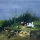 Hand painted oil painting on canvas"Cute duck"60x90CM(24"x36")Unframed-03 Hand painted oil painting on canvas"Cute duck"60x90CM(24"x36")Unframed-03