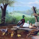 Hand painted oil painting on canvas"Cute duck"60x90CM(24"x36")Unframed-04 Hand painted oil painting on canvas"Cute duck"60x90CM(24"x36")Unframed-04