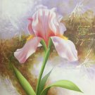 Simple modern Hand painted oil painting on canvas"Flowers"50x60CM(19.7"x23.6")Unframed-30 Simple modern Hand painted oil painting on canvas"Flowers"50x60CM(19.7"x23.6")Unframed-30