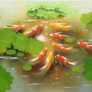 Chinese style Hand painted oil painting on canvas"carp"60x90CM(24"x36")Unframed-12 Chinese style Hand painted oil painting on canvas"carp"60x90CM(24"x36")Unframed-12