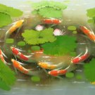 Chinese style Hand painted oil painting on canvas"carp"60x90CM(24"x36")Unframed-15