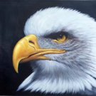 Hand painted oil painting on canvas"Eagle"60x90CM(23.6"x35.4")Unframed-01