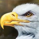 Hand painted oil painting on canvas"Eagle"60x90CM(23.6"x35.4")Unframed-02