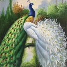 Simple modern Hand painted oil painting on canvas"Gorgeous peacock"60x90CM(23.6"x35.4")Unframed-43