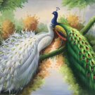 Simple modern Hand painted oil painting on canvas"Gorgeous peacock"60x90CM(23.6"x35.4")Unframed-46