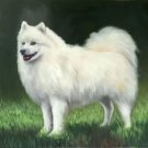 Simple modern Hand-painted oil painting on canvas"Cute dog"50x60CM(19.7"x23.6")Unframe-09