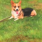 Simple modern Hand-painted oil painting on canvas"Cute dog"60x90CM(23.6"x35.4")Unframe-11 Simple modern Hand-painted oil painting on canvas"Cute dog"60x90CM(23.6"x35.4")Unframe-11