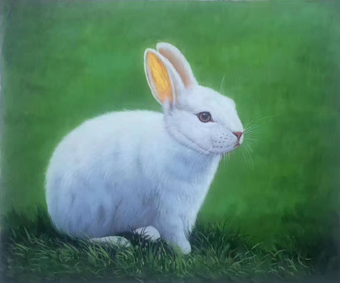 Simple modern Hand-painted oil painting on canvas"Cute rabbit"50x60CM(19.7"x23.6")Unframed-02