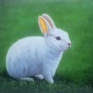 Simple modern Hand-painted oil painting on canvas"Cute rabbit"50x60CM(19.7"x23.6")Unframed-02