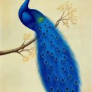 Simple modern Hand painted oil painting on canvas"Gorgeous peacock"60x90CM(23.6"x35.4")Unframed-53