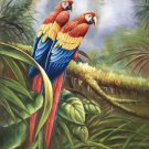 Hand painted oil painting on canvas"Colorful parrot"60x90CM(24"x36")Unframed-15 Hand painted oil painting on canvas"Colorful parrot"60x90CM(24"x36")Unframed-15