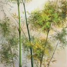 Simple modern Hand painted oil painting on canvas"bamboo"75x150CM(30"x60")Unframed-50