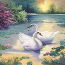 Simple modern Hand painted oil painting on canvas"swan"60x60CM(24"x24")Unframed-30