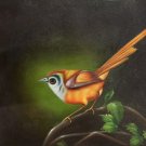 Simple modern Hand painted oil painting on canvas"Cute bird"50x60CM(19.7"x23.6")Unframed-50 Simple modern Hand painted oil painting on canvas"Cute bird"50x60CM(19.7"x23.6")Unframed-50