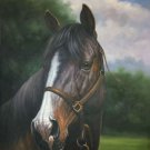Hand painted oil painting on canvas"Akhal-teke horses"75x100CM(30"x40")Unframed-45