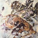 Simple modern Hand painted oil painting on canvas"tiger"60x120CM(24"x48")Unframed-05