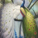 Simple modern Hand painted oil painting on canvas"Gorgeous peacock"60x90CM(23.6"x35.4")Unframed-75 Simple modern Hand painted oil painting on canvas"Gorgeous peacock"60x90CM(23.6"x35.4")Unframed-75