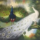 Simple modern Hand painted oil painting on canvas"Gorgeous peacock"60x90CM(23.6"x35.4")Unframed-76 Simple modern Hand painted oil painting on canvas"Gorgeous peacock"60x90CM(23.6"x35.4")Unframed-76
