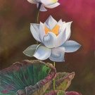 Chinese style Hand painted oil painting on canvas"lotus"60x120CM(23.6"x47.2")Unframed-83 Chinese style Hand painted oil painting on canvas"lotus"60x120CM(23.6"x47.2")Unframed-83