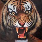Simple modern Hand painted oil painting on canvas"tiger"80x80CM(33"x33")Unframed-16
