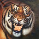 Simple modern Hand painted oil painting on canvas"tiger"80x80CM(33"x33")Unframed-17