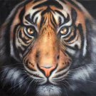 Simple modern Hand painted oil painting on canvas"tiger"80x80CM(33"x33")Unframed-18