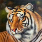 Simple modern Hand painted oil painting on canvas"tiger"80x80CM(33"x33")Unframed-19