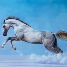 Simple modern Hand painted oil painting on canvas"Akhal-teke horses"60x90CM(23.6"x35.4")Unframed-48