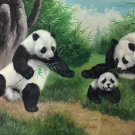 Simple modern Hand painted oil painting on canvas"Panda"60x90CM(24"x36")Unframed-03