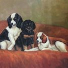 Simple modern Hand-painted oil painting on canvas"Cute dog"60x90CM(23.6"x35.4")Unframe-13