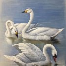 Simple modern Hand painted oil painting on canvas"swan"60x90CM(23.6"x35.4")Unframed-31