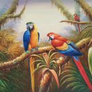 Hand painted oil painting on canvas"Colorful parrot"60x90CM(24"x36")Unframed-19