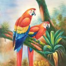 Hand painted oil painting on canvas"Colorful parrot"60x90CM(24"x36")Unframed-24