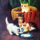 Simple modern Hand-painted oil painting on canvas"Cute cat"30x40CM(12"x16")Unframed-05 Simple modern Hand-painted oil painting on canvas"Cute cat"30x40CM(12"x16")Unframed-05