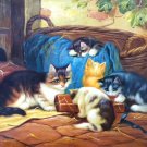 Simple modern Hand-painted oil painting on canvas"Cute cat"30x40CM(12"x16")Unframed-08 Simple modern Hand-painted oil painting on canvas"Cute cat"30x40CM(12"x16")Unframed-08