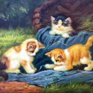 Simple modern Hand-painted oil painting on canvas"Cute cat"30x40CM(12"x16")Unframed-13 Simple modern Hand-painted oil painting on canvas"Cute cat"30x40CM(12"x16")Unframed-13