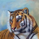 Simple modern Hand painted oil painting on canvas"tiger"80x80CM(33"x33")Unframed-23