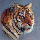 Simple modern Hand painted oil painting on canvas"tiger"80x80CM(33"x33")Unframed-24