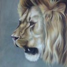 Simple modern Hand painted oil painting on canvas"lion"60x90CM(23.6"x35.4")Unframed-01
